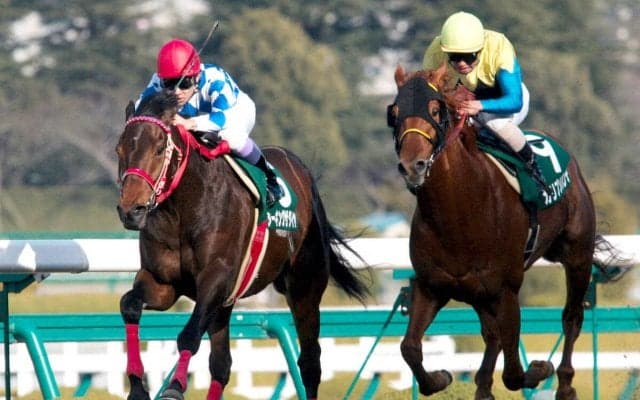 【競走伝】武豊も期待した“最強の善戦マン”…超良血“二刀流馬”の芝重賞初制覇　０４年・アーリントンＣ