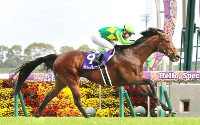 【小島太元調教師の競馬ジャーナル】短距離界はまだ世代交代が進んでいない…連覇したサトノレーヴの強さだけが際立った
