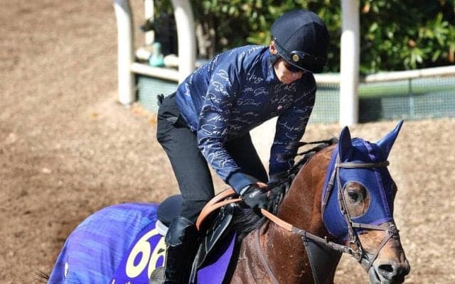 【Ｇ１・１週前まとめ】レーベンスティールが上々の時計をマーク　田中博調教師「落ち着きある」Ｇ１挑戦へ手応え　大阪杯