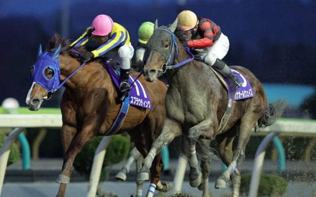 【水沢・白嶺賞】狭い進路こじ開けV！カナオールウェイズが接戦制す