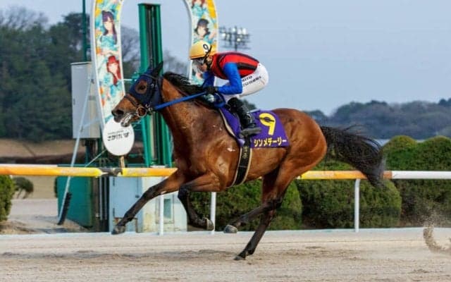 【佐賀・はがくれ大賞典】盤石の走りで連覇、シンメデージー完全復活…吉原は記録更新