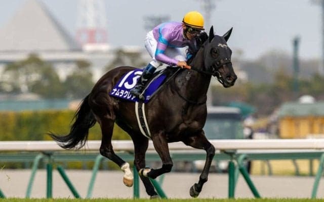 【高松宮記念】ラストラン・ナムラクレアは6着…浜中「クレアにお疲れ様と伝えたい」レース後ジョッキーコメント