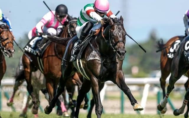 【ダービー卿CT見どころ】力つけたファーヴェントが初重賞制覇だ