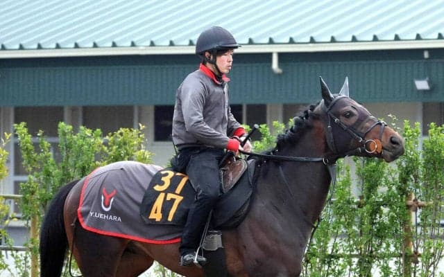 【チャーチルダウンズＣ】リゾートアイランドは早めの栗東入り　上原佑調教師「前走前よりは明らかに状態はいい」