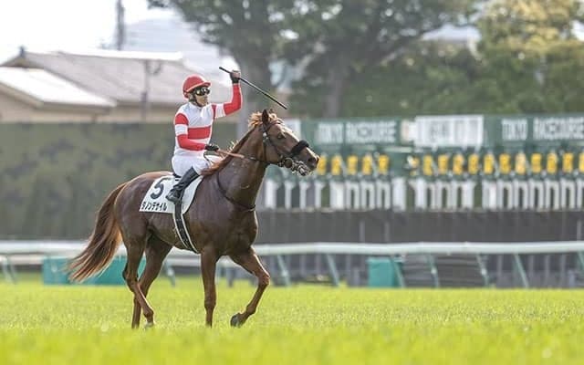 【大阪杯】日本ダービー馬が初の戴冠なるか ダノンデサイル＆クロワデュノールが参戦