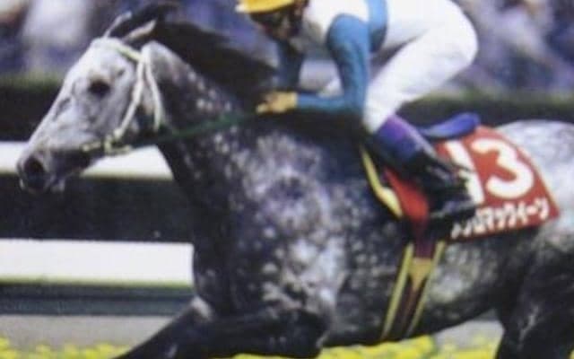 大阪杯着差ランキングTOP5 1位は約1年ぶりの出走で5馬身差の圧勝劇