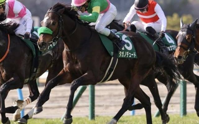 【大阪杯】タガノ軍団が悲願のGI初制覇へ 小倉大賞典覇者のタガノデュードが一発狙う