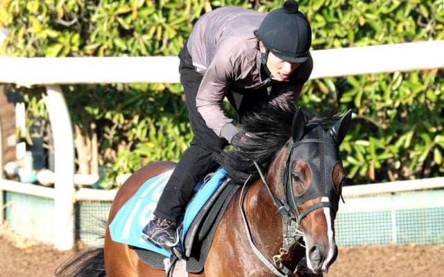 【注目馬動向】日経賞Ｖのマイユニバースは天皇賞・春には向かわず　武幸調教師「宝塚記念に行ければ」