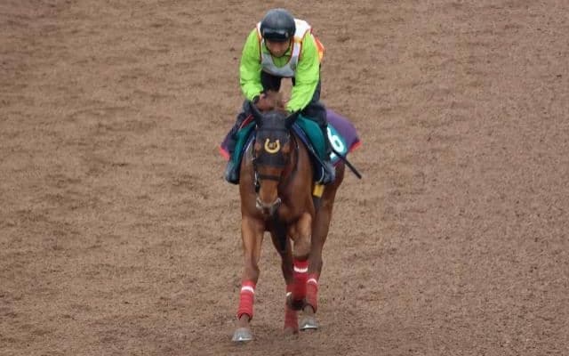 タッチングスピーチの2024など、先週の入厩情報/栗東トレセンニュース