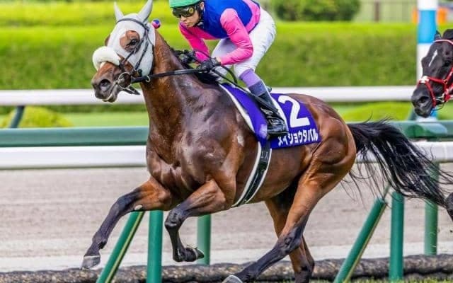 【大阪杯】武豊騎手が3年ぶり3勝目へ 宝塚記念覇者のメイショウタバルで参戦だ