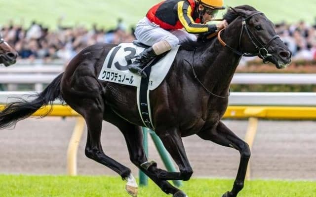 【大阪杯】GI昇格後初の父仔制覇へ キタサンブラック産駒の2頭が参戦だ