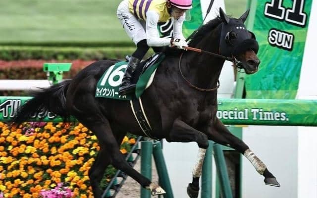【大阪杯】50歳の幸英明騎手 セイウンハーデスで5年ぶりのGI制覇なるか