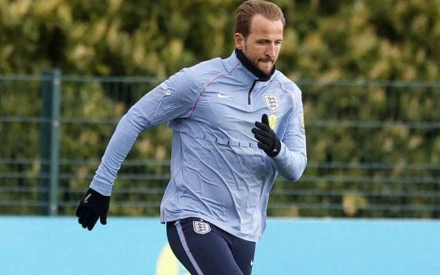 スパイクは「スケッチャーズ」　ハリー・ケインはこんな人  愛称は「ザ・ハリケーン」…イングランド代表歴代最多得点