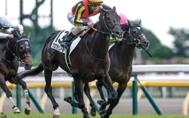 【大阪杯予想オッズ】クロワデュノールが予想1番人気