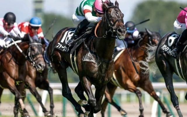 【ダービー卿CT予想オッズ】ファーヴェントが予想1番人気