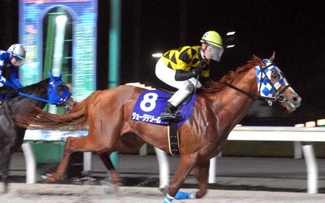 【京成盃グランドマイラーズ】ジョージテソーロが重賞初制覇！落合玄太騎手「いい反応してくれた」ウィリアムバローズと浦和勢ワンツー！～船橋競馬