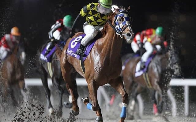 【船橋・京成盃グランドマイラーズ結果】ジョージテソーロが直線で差し切って重賞初制覇