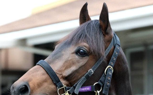 【大阪杯・超ブル診断データ編】高松宮記念で上位独占「おっさん」組より、川田将雅騎手×友道厩舎の４歳馬