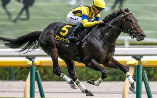 【チャーチルダウンズC展望】前走GI組のアンドゥーリルが実力を見せつける