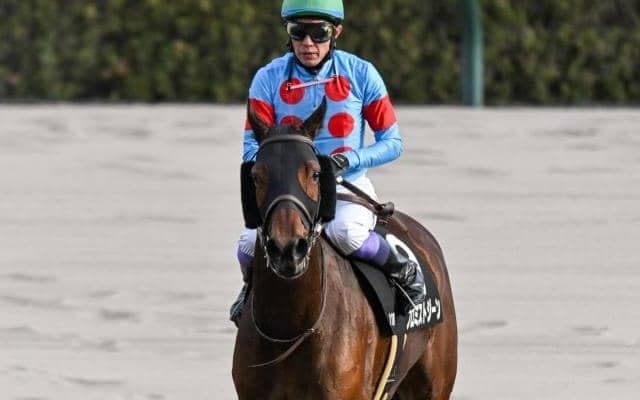 【園田・兵庫女王盃注目馬】新年度最初のダートグレード重賞は牝馬の戦い エンプレス杯の前哨戦
