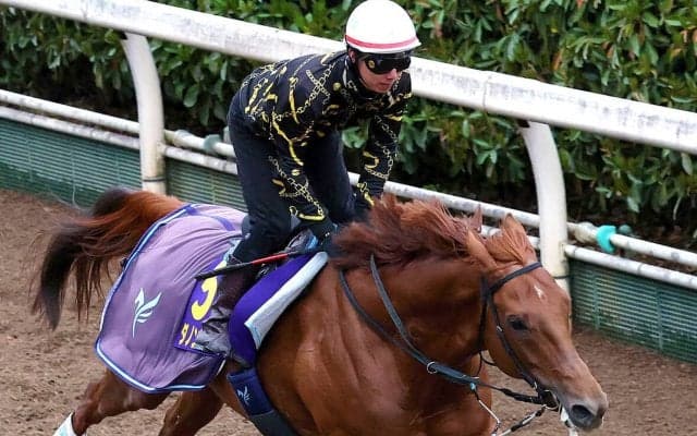 【大阪杯】ダノンデサイルは坂路を馬なりで鋭く伸びた　安田調教師「現時点では求めている雰囲気にはあります」