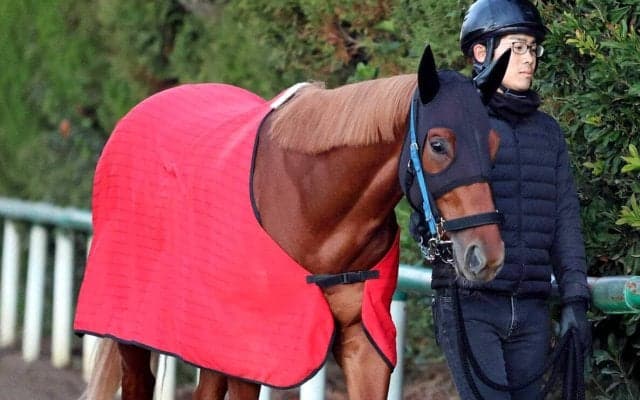 【注目馬動向】サウジアラビアＲＣの勝ち馬エコロアルバはＮＨＫマイルＣへ　鞍上は横山和生騎手