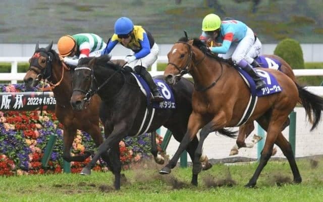 GI昇格後初めて 好相性の金鯱賞組がいない大阪杯