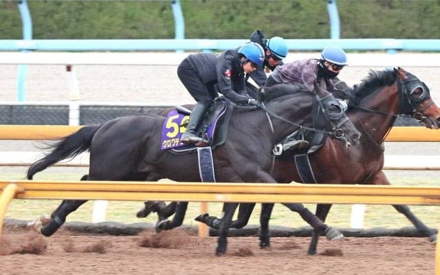 【大阪杯】クロワデュノールは滑らかな加速でラスト１１秒１　斉藤崇調教師「もう一度、輝きと自信を…」