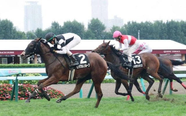 【注目馬動向】桜花賞に出走予定のビッグカレンルーフは追い切り後に骨折が判明　全治は６～９か月