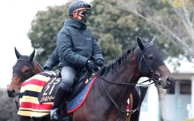 【注目馬動向】東スポ杯２歳Ｓ勝ち馬のパントルナイーフは皐月賞へ　キャロットクラブが発表