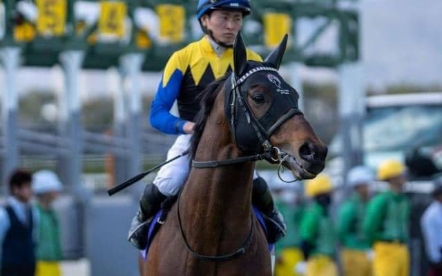 【大阪杯】ディープインパクト産駒が17年連続のJRA重賞制覇へ ヨーホーレイクが一発狙う