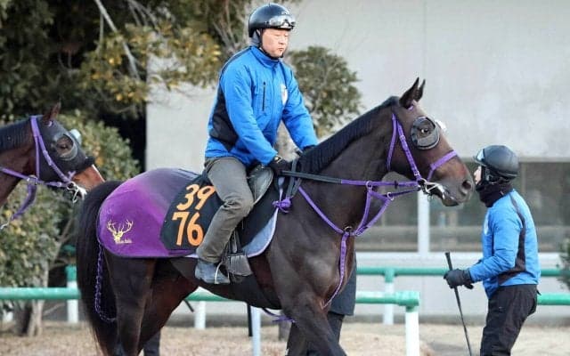 【注目馬動向】２５年天皇賞・秋勝ち馬マスカレードボールの半弟アナザーフェイス　次走は４月２６日東京競馬の未勝利戦へ