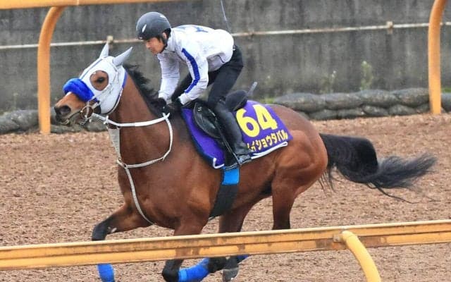 【大阪杯】武豊騎手と復活目指すメイショウタバルが中間に掲げたテーマとは　石橋調教師「ここまで思惑通り」