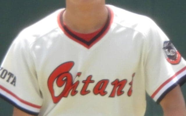 【一覧】県大会最後のイスは豊田大谷が獲得、決勝は2日に順延！愛知・西三河地区大会【26年春高校野球】
