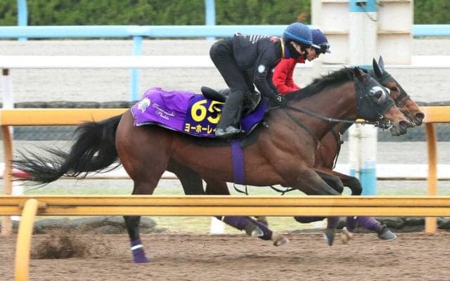 【Ｇ１トク捜リレー】ベテラン勢の奮闘目立つＧ１戦線　栗東・理貴記者の注目は昨年３着の８歳馬　大阪杯