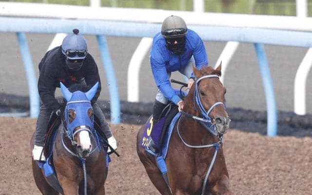 【大阪杯】しまい勝負にかけるサンストックトンは併入　堀内調教師「相手は強いが、ひと脚が使える状態」