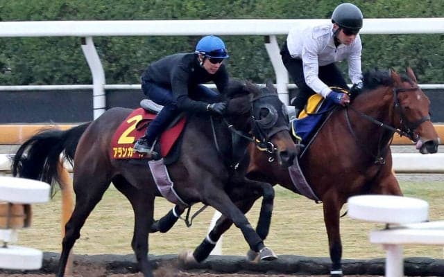 【桜花賞・１週前】「いい内容だった」「本番でも楽しみ」武豊騎手は俊敏な加速見せたアランカールを高評価　