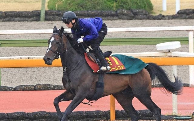【桜花賞・１週前】栗東滞在の関東馬ドリームコアは古馬相手に併入　萩原調教師「動きも良かった」