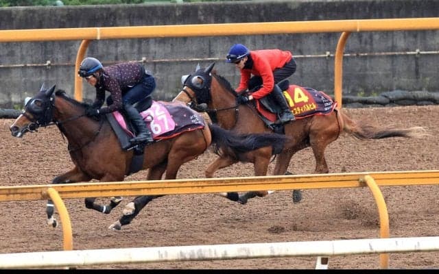 【桜花賞・１週前】骨折明けのフェスティバルヒルはやや力むも「行きたがるなかでも我慢できている」と四位調教師