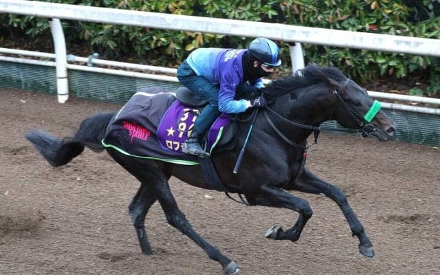 【皐月賞・２週前】Ｇ１馬ロブチェンが馬なりで初時計　杉山晴調教師「来週はしっかりやります。順調です」