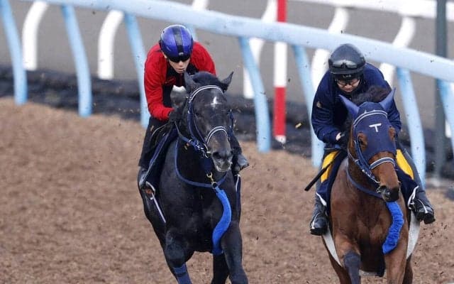 【皐月賞・２週前】リアライズシリウスは右回りでも問題なし　津村明秀騎手「２週前としては上々です」