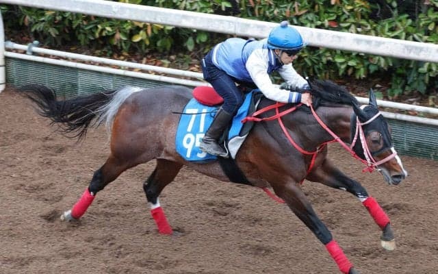 【ダービー卿ＣＴ】スズハロームはラストの伸び脚が際立つ　牧田調教師「思ったより時計は出ていました」