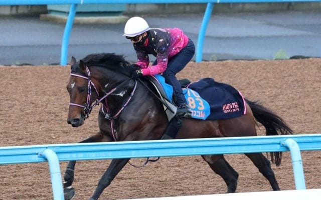 【ダービー卿ＣＴ】シリウスコルトはダイナミックな動きで好調アピール　田中勝調教師「折り合い面も大丈夫」