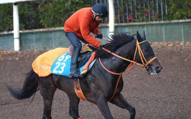 【ダービー卿ＣＴ】初マイルのケイアイセナは好調キープ　平田調教師「前走と同じぐらいの状態にある」