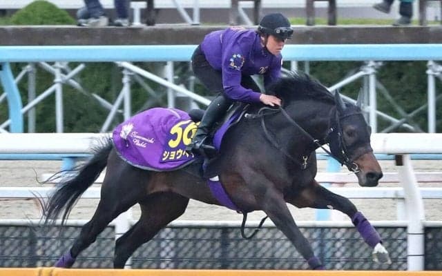【大阪杯】“ＳＨＯ　ＴＩＭＥ”の予感！ＤＰコース追いは友道厩舎流「順調」の証し　ショウヘイに「十分チャンスはある」