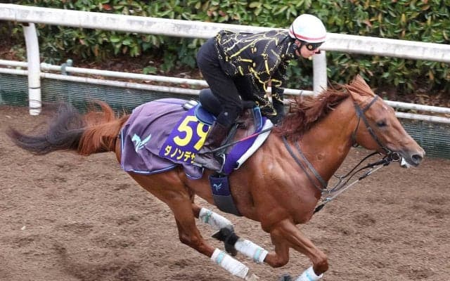 【大阪杯】ダノンデサイルは坂路で整えて万全の態勢　安田調教師「経験を生かして、もちろんいい結果を」