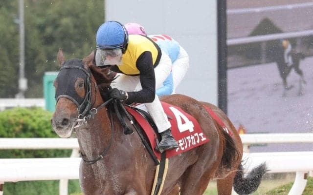 【兵庫女王盃】ルメール騎手「中央競馬でも結果を出せる」メモリアカフェが差し切って重賞２勝目