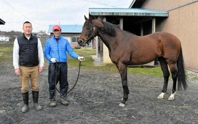 3冠馬生んだ東北の馬産、青森で復活の動き　新種牡馬を導入、3頭目