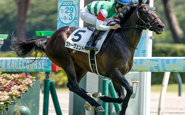 【ダービー卿CT出走馬・騎手確定】ファーヴェント＆横山武史騎手、ミニトランザット＆西村淳也騎手など16頭
