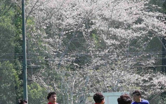 【ラグビーリーグワン】静岡ブルーレヴズが４日に長崎で相模原戦　地元出身のＳＨ岡崎航大「いいイメージしかない会場」